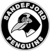 Sandefjord Penguins